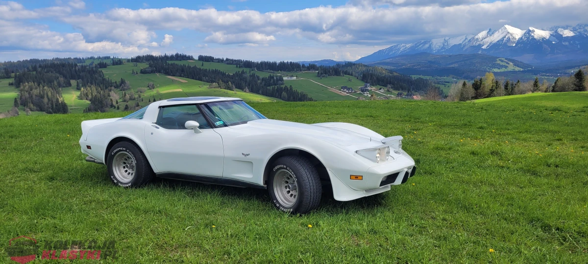 Chevrolet Corvette C3 1978 silnik 5,7l 220KM