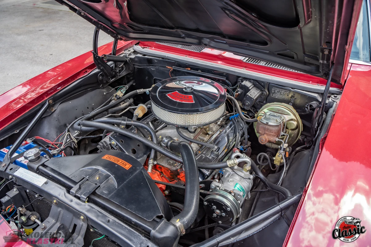 Chevrolet Camaro SS z 1969 roku, bordowy kolor, silnik 5,7l o mocy 300KM