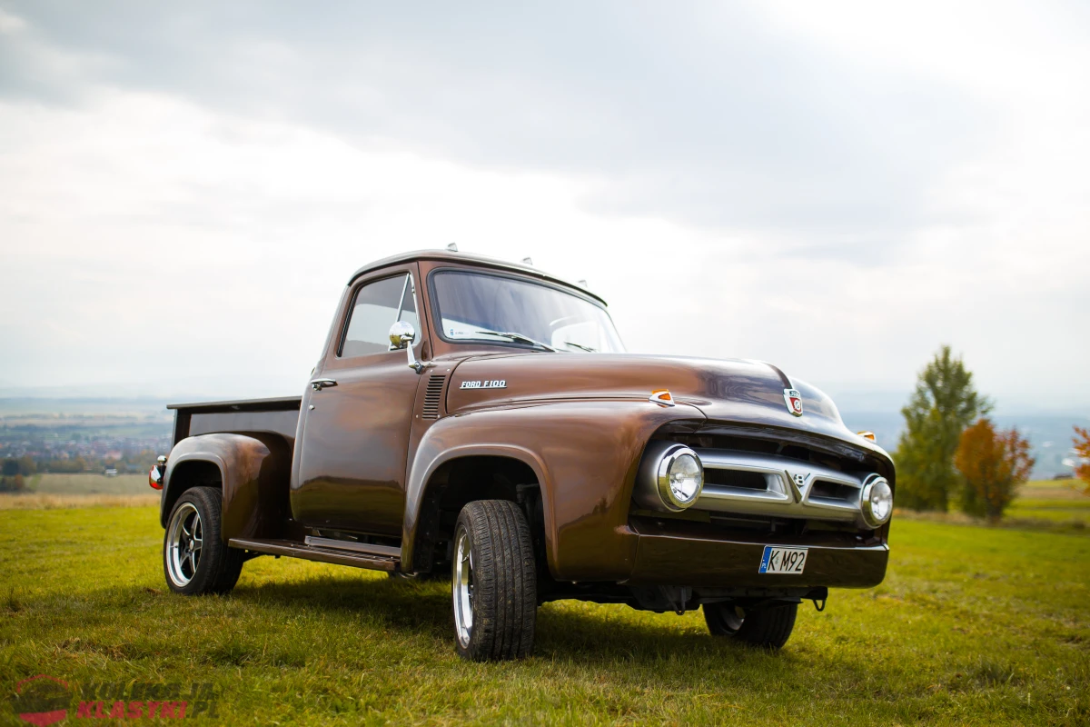 FORD F100